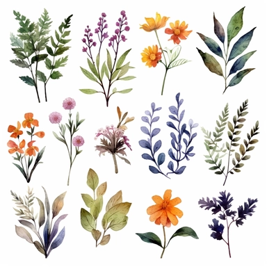 beautiful watercolor floral clipart set with flowers, leaves, ferns, and branches, clipart, isolated on white background, bojo, vintage, lithograph, 32k uhd, texture