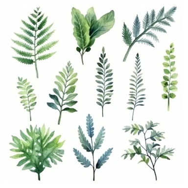 set of cute watercolors Fern Plant for kids book, white background, clipart, clean and crisp, boho inspired