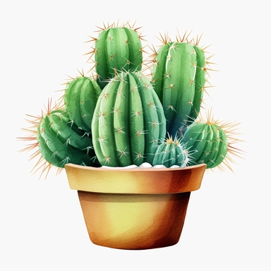 create a hand drawn watercolor clipart of a cactus, white background, 4k