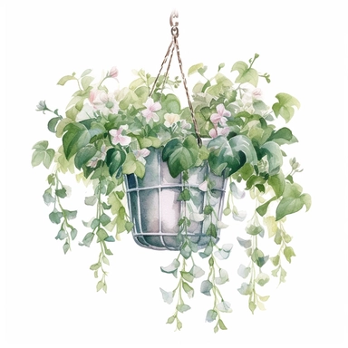 Vintage Beautiful Hanging plant Watercolor Clipart, white background