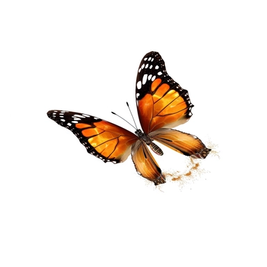 clipart with white background, cute butterfly flying, clearly defined separate image, high quality--ar3:4-no mockups, watermarks, numbers, writing, letters--q2--v5.1--s1000