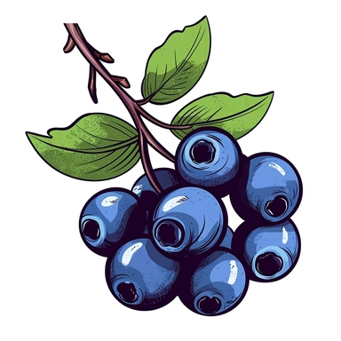 single blueberry clipart illustration, white background,