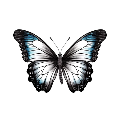 aqaurel colored black colored butterfly, clip art, white background, clear background