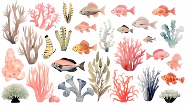 Watercolor clipart seabed pastel colors, with coral, algae, tropical fish, minimalist style on white background