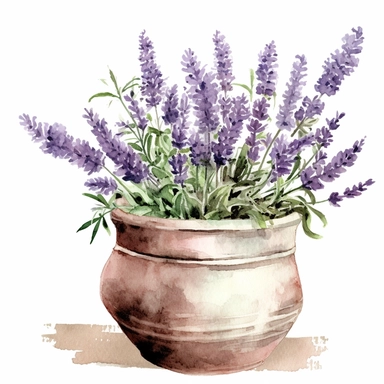 lavender flowers in a neutral toned clay pot, watercolor style, clipart