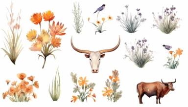 watercolor clipart set illustrations of wild flowers grass and Texas longhorns on white background