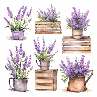 different types of watercolor lavender-colored flowers growing out of a flower box, lavender flower wooden box, watercolor lavender garden Clipart, secret garden theme, Provence floral spring, each image must be on a white background with margins, each image must be separated by a margin, single design clip art 8k, s750