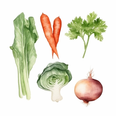 basic watercolor carrot, lettuce head, tomato, garlic and onion in minimal hand drawn style, Etsy, textured, clipart, white background