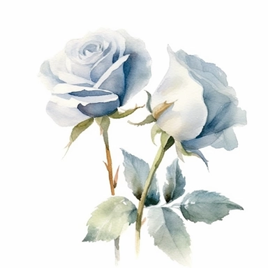 Watercolor dusty blue four roses clipart, four roses bouquet, muted color faded, white background