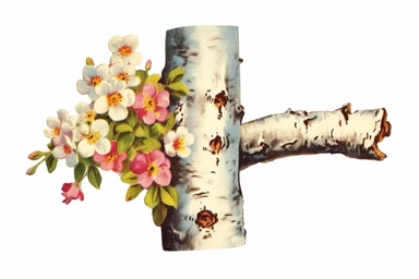 Vintage 1920 detailed Birch Tree Trunk With Flowers Illustration, Chromolithograph, Die Cut, 1920s Illustration, Vintage, Chromolithograph, Colorful, Antique, Ephemera, Clipart, 8k, Isolated on white