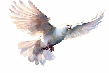 Clip art of flying dove, white, White margins around the image, drawn by Helen Beatrix Potter, easy to crop image, white background