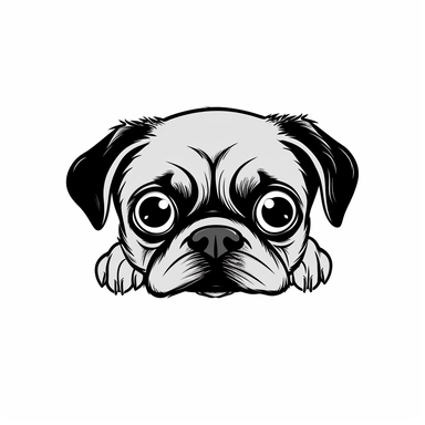Simple outline of a front - facing crooked head happy Pug dog head peeking with front paws, cute clipart, flat 2d vector, minimalist, black and white, kids cartoon, svg cut file, line art drawing, white isolated background