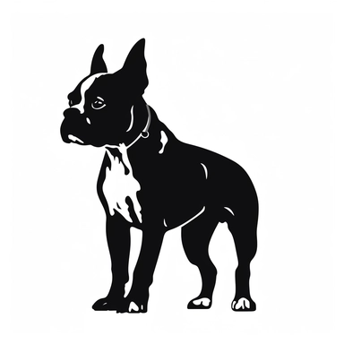 Black full body profile silhouette Boston Terrier SVG icon, Cricut Silhouette Graphics, white background, minimal detail, no shading, SVG Dxf EPS Png Cdr Ai Pdf Vector Art Clipart Digital Cut Print File