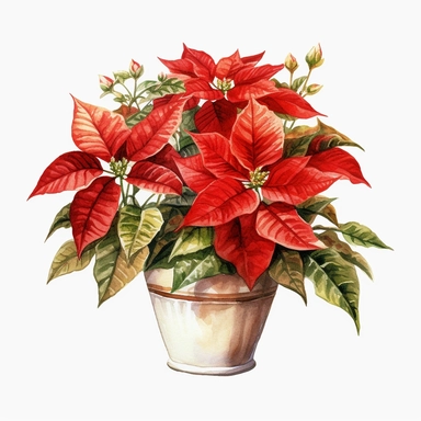 vector watercolor cute vintage Christmas poinsettia potted clipart on white background, fall, Christmas potted poinsettia, photorealistic, ultrarealistic, no background, on whit