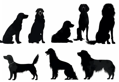black dog silhouettes cliparts on white background, in the style of françoise basset, mary beale, animated gifs, petcore, boris kustodiev