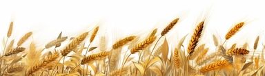 wheat leaf clipart free vector image for free, in the style of photo-realistic landscapes, motion blur panorama, uhd image, shaped canvas, gold and crimson, 3840x2160, isolated landscapes