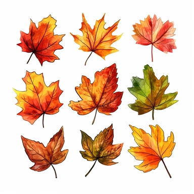 hand drawn png clip art color art of 10 fall leaves