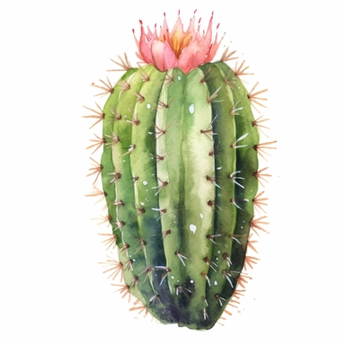 create a hand drawn watercolor clipart of a cactus, white background, 4k