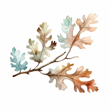 watercolor, oak leaf branch garland, sweet colors, clipart, white background