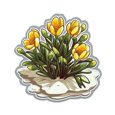 Isometric Sticker Clip Art of Eranthis Hyemalis in the snow, children friendly, illustrated in a playful and realistic style, perfect for any special occasion, cut out in the shape of a Winter Aconite, with no visible background, giving it the appearance of a sticker, conveying a mystical and whimsical mood, edited with Adobe Photoshop to adjust brightness and contrast, rendered as a transparent PNG file with a high resolution to ensure a crisp and clear image with no pixelation, suitable for va