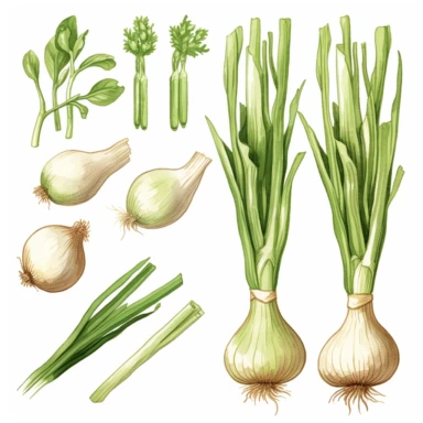 semi photorealistic outlined watercolor illustration, clipart elements, collection [Green Onion vegetable] cozy elements, detailed, pastels, beige, spaced, isolated white background