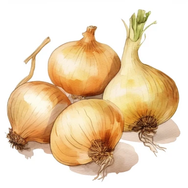 semi photorealistic outlined watercolor illustration, clipart elements, collection [onions vegetable] cozy elements, detailed, pastels, beige, spaced, isolated white background