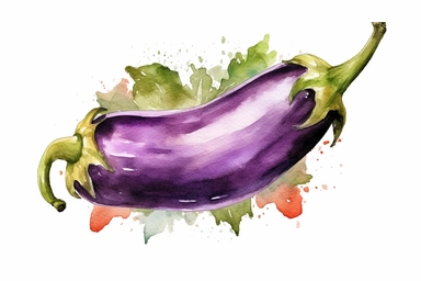 Watercolor , Eggplant, clipart, hd, on a white background, spaced out