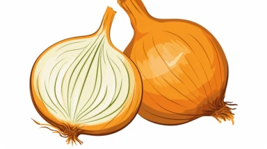 onion clipart vector drawing, basic colors wtih thick black outline, small image on white background