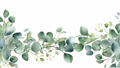 Watercolor Eucalyptus leaves border. Watercolor illustration isolated on white. Greenery clipart for wedding invitation, greeting cards, save the date, stationery design