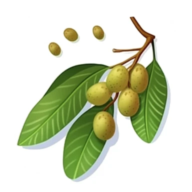 Isometric Sticker Clip Art of Lindentree Fruit, children friendly, illustrated in a playful and realistic style, perfect for any special occasion, cut out in the shape of a single very long Leaf with small balls, with no visible background, giving it the appearance of a sticker, conveying a mystical and whimsical mood, edited with Adobe Photoshop to adjust brightness and contrast, rendered as a transparent PNG file with a high resolution to ensure a crisp and clear image with no pixelation, suit
