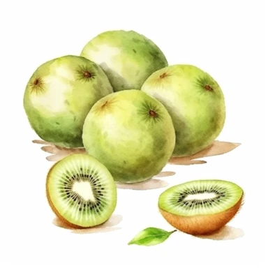 on white background cute and vibrant clipart featuring kiwi fruit in watercolor style, hyper realistic photo flat color