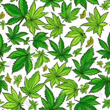 cute marijuana leafs in a cartoon style with thick lines, high detail clean, clipart, on a white background