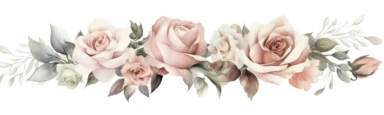 watercolor single row blush white pink roses bouquets clipart, white space on left and right borders, muted color faded