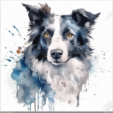 clipart of a watercolor border collie on a white background