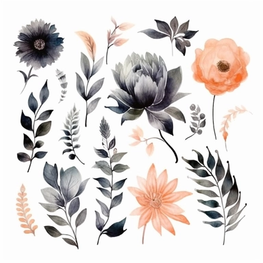 watercolor, handpainted black boho floral clipart, transparent background, spaced out--ar 3:2