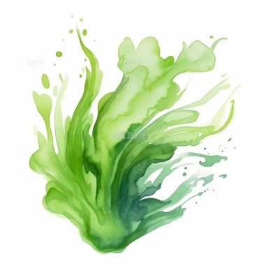 single algae clipart graphic vector white background cartoon style drawing watercolor