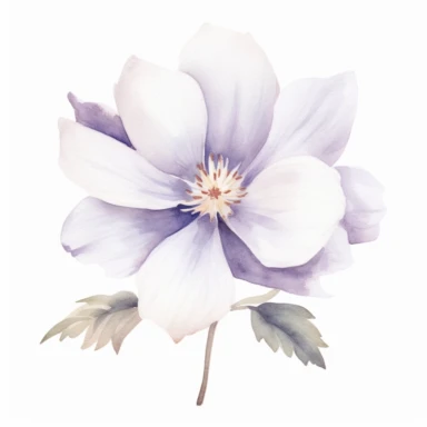 Watercolor Floral Clipart, White Flower Clipart, Neutral Floral Clipart, White Flower, White single flower, Wedding Clipart, light lilac Floral