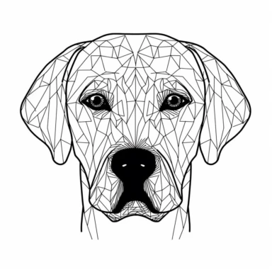 Simple outline of a front facing Labrador Retrievers dog head, kids cartoon, minimalist, black on white, lineart, 2d flat file, silhouette, clipart, svg