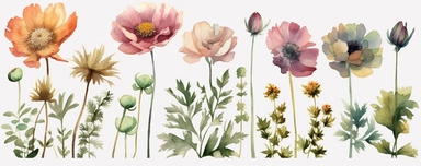 stunning clipart artworks of flowers and plants in a light and minimalistic style, The focus will be on the delicate beauty of each individual flower or plant, which will be separated from the others and isolated on a white background, Use a prominent watercolor style to make it evident that each artwork was painted using the delicate and intricate watercolor technique, Use light colors to bring out the softness of the flowers and plants, while keeping the overall design minimalistic, Each clipa
