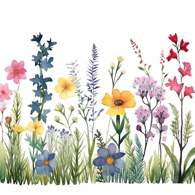 Watercolor wildflowers field, premade borders, Hand painted, clipart, seamless, whimsical, transparent background