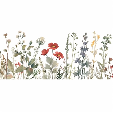 Pressed boho wild flowers cottagecore vintage botanical pastel floral nature flower garden with seamless border, clipart with white background –ar 293:151