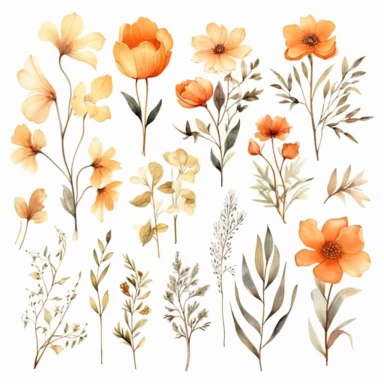 Light orange tone Watercolor Wild Floral clipart - Pre-made clipart