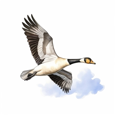 watercolor for a clipart with a white background of a goose in flight, hyperrealism, painted by R. Kenton Nelson