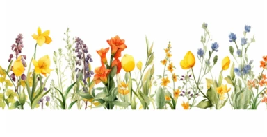 watercolor Pressed boho mix of Tulip Lily of the Valley Foxglove Primrose yellow Buttercup cottagecore wildflowers with broadleaf, needle-like and palmate foliages floral nature garden border, bright color cliparts with white background