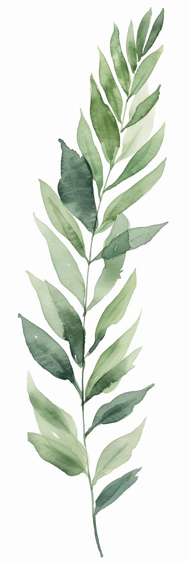 watercolor piece of anemone leaf spruce green clipart drawing for, in the style of ogham scripts, blink-and-you-miss-it detail, minimalist detail, made of vines, sōsaku hanga, bentwood, naturalistic depictions