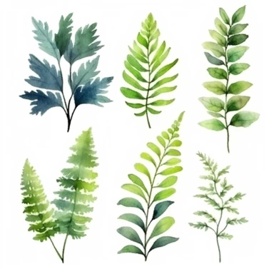 set of watercolors cute Fern Plant for kids book, white backgroun, clipart, clean and crisp