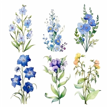 Design a captivating hand-drawn watercolor clip art image featuring a family gift niche adorned with birth flowers. Customize the image for a family of six: a January baby (Snowdrop), a May baby (Hawthorn), a July baby (Delphinium), a September baby (Morning Glory), an October baby (Cosmos), and a December baby (Narcissus). Add a gentle watercolor texture to the background, giving the image a vintage and artistic feel.