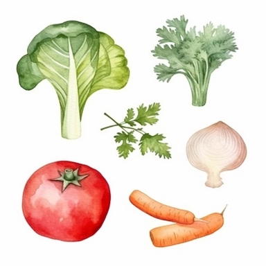 basic watercolor carrot, lettuce, tomato, bell pepper, garlic, onion in minimal hand drawn style, Etsy, textured, clipart, white background