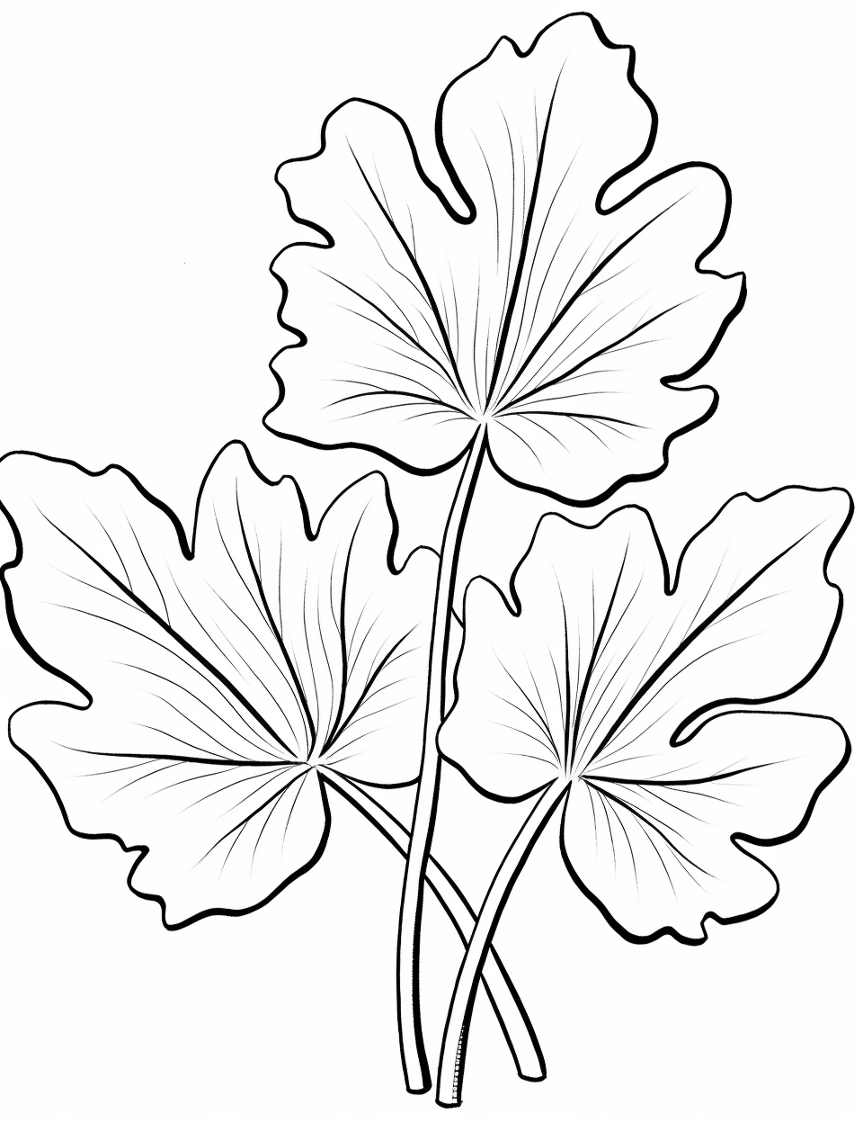 august clipart