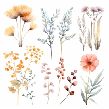 Light Watercolor Wild Floral clipart - Pre-made clipart v 5